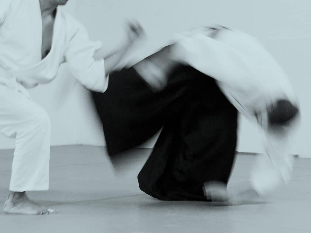 Aikido Utrecht dojo training
