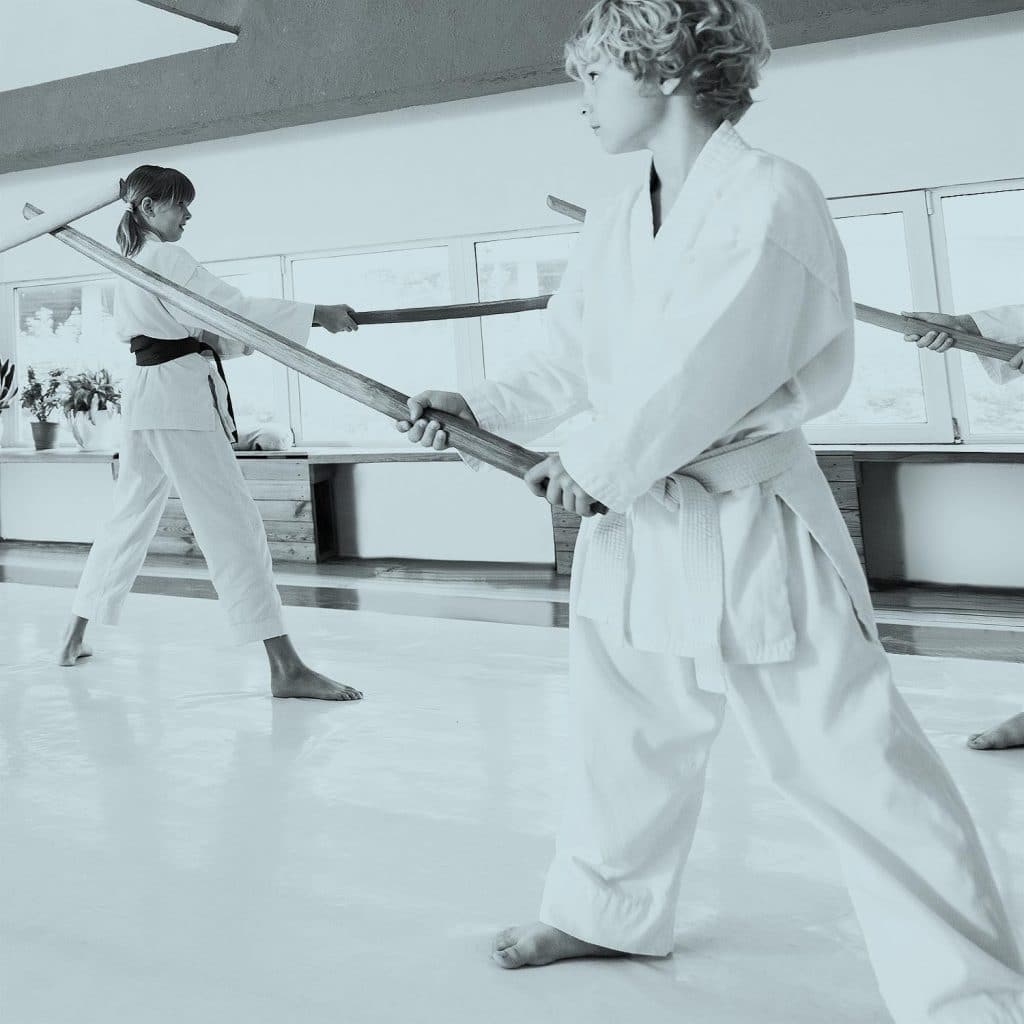 Aikido wapentraining jeugd
